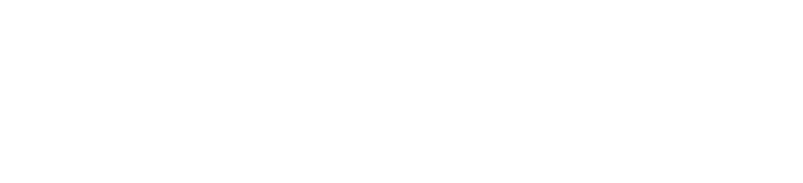 logoipsum-317-2.png